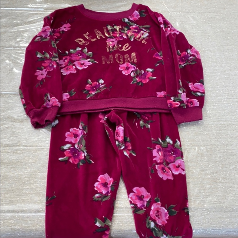 Carter’s girls pajamas 2 piece